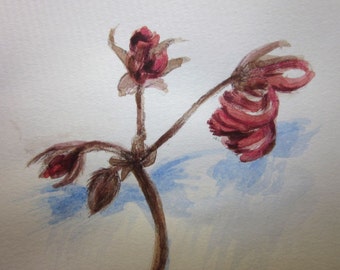 Steadfast.  Small botanical illustration, romantic art, dried geranium flower stem, acrylic, pencil drawing, 6x4 inch, SFA