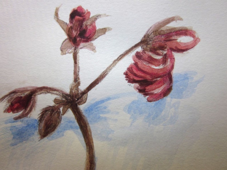 Steadfast. Small botanical illustration, romantic art, dried geranium flower stem, acrylic, pencil drawing, 6x4 inch, SFA image 4