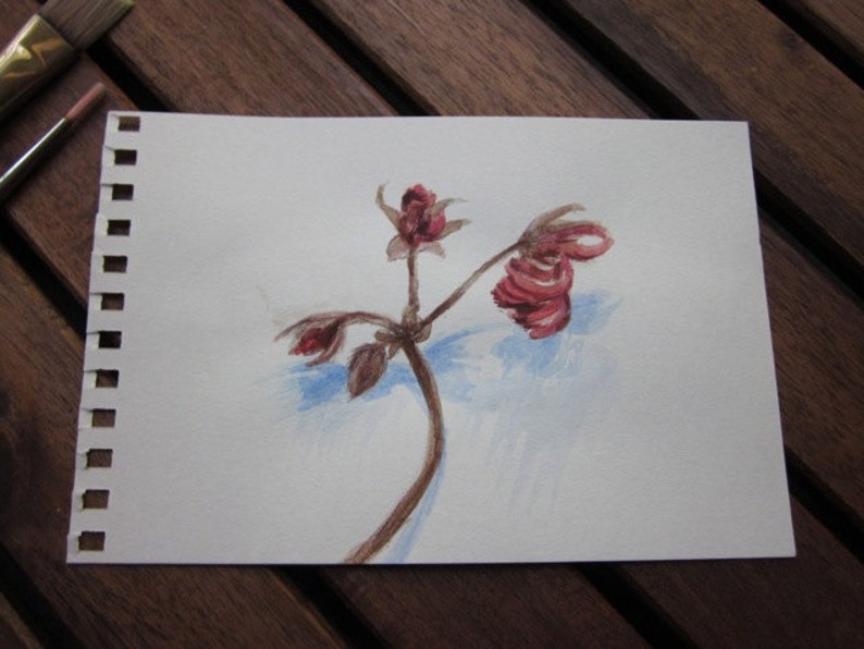 Steadfast. Small botanical illustration, romantic art, dried geranium flower stem, acrylic, pencil drawing, 6x4 inch, SFA image 2