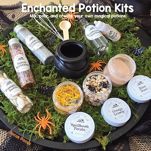 May include: A potion kit featuring a black plastic cauldron, a metal whisk, a wooden spoon, and various clear containers filled with ingredients labeled Salem Sprinkles, Cauldron Crystals, Spellbook Petals, Binx Dust, and Creepy Crawly.