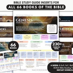 Bible Study Inserts for All 66 Books, Printable Bible Overview Guides for Women & Teens, Christian Devotions, Bible Summaries PDF