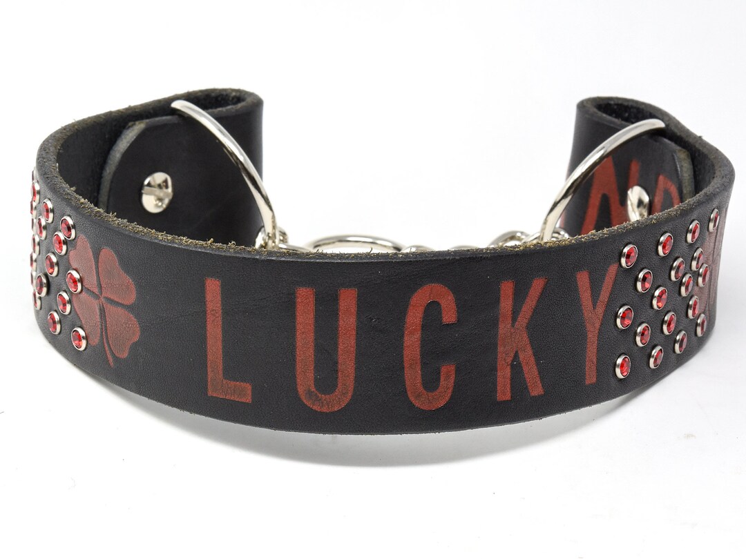 Lucky Dog Collar, Lucky Brand Dog Collar, Martingale Dog Collar. Bling