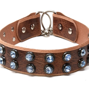 Masculine Leather Martingale Dog Collar,  Leather Martingale Dog Collar. Bling Leather Collar, Made in USA, All sizes.
