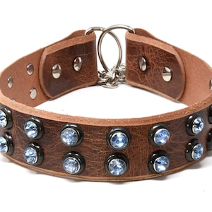 Dog Collar Menswear Inspired Dog Collars Male Boy Dog Collar 