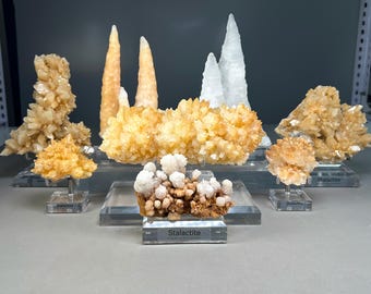 May include: A collection of various mineral specimens, including stalactites and crystal clusters in shades of white, yellow, and amber. Each specimen is mounted on a clear acrylic base with a label reading Stalactite, displayed on a flat surface.