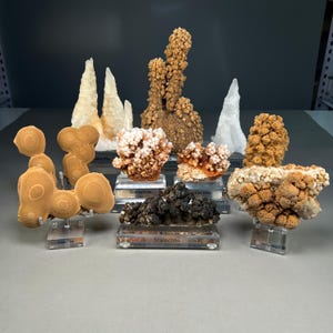May include: A collection of various mineral specimens including tan, white, and dark brown stalactites and crystal clusters. Several pieces are mounted on clear acrylic stands with the word Stalactite printed on the base of each display stand.