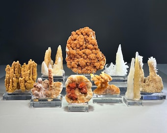 May include: A collection of various mineral stalactite specimens displayed on clear acrylic stands. Each stand features a small label with the text Stalactite. The specimens vary in color from white and cream to shades of orange and brown.