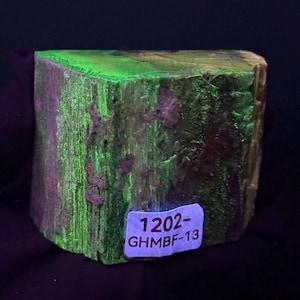 Dual UV Fluorescent Petrified Wood Trunk with Axe Crystal | UV Reactive Crystal Home Decor | Reiki Healing Crystal Gift