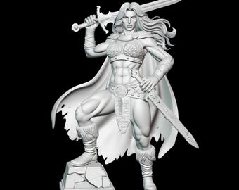 May include: A 3D-printed white figurine of a warrior woman, holding two swords. She wears a chainmail top, a cape, and fur-lined boots. The figure stands on a stone base, with long flowing hair.