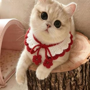 May include: A cream-colored cat with large, dark eyes wearing a white and red crocheted collar with flower accents. The cat is sitting on a wooden tree stump, with its front paws extended.
