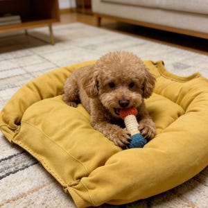 Tutorial em PDF para Cama de Cachorro Reaproveitada | Cama para Pet Faça Você Mesmo com Roupas Velhas (Download Digital)