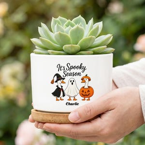 Personalized Halloween Succulent Planter, Spooky Season Goose Plant Pot, Custom Name Planter, Cute Halloween Gift for Plant Lover