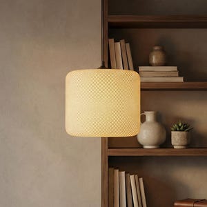 May include: A contemporary pendant light with a textured, cylindrical lampshade suspended from a black ceiling fitting. The warm light illuminates a room with a bookshelf filled with books, plants, and decorative items.