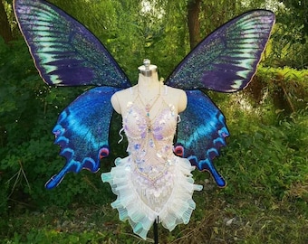 Niebieskie motyle, skrzydła wróżki, cosplay, duże skrzydła morpho, opalizujący kostium wróżki, festiwalowy strój, eteryczne skrzydła wróżki, rekwizyt do zdjęć