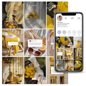 PLR Instagram Feed Canva Templates Strategic Social Media Posts for Business, Personal Brands Aesthetic Posts, UGC, SMM, Pinterest