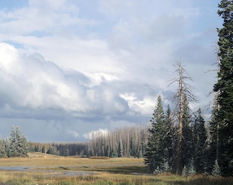 Utah photo canvas, Utah snowy trees print, Utah trees canvas, Utah trees photo, nature landscape canvas, oversized art, large canvas