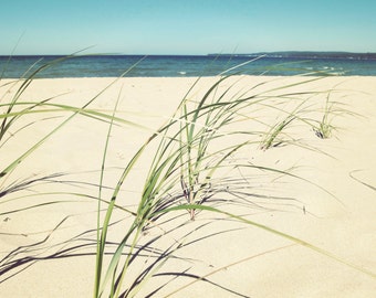 Beach grass print, beach grass canvas, summer beach photo, Lake Michigan print, Petoskey print