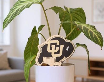 University of Colorado Buffalo Color Plant Stake