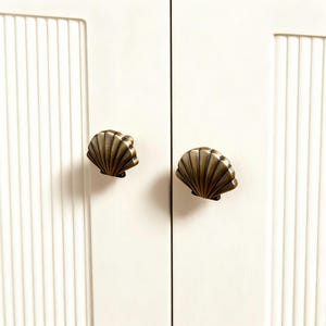 Bronze Shell Knob: Cupboard Brass Knobs, Bronze Drawer Handles