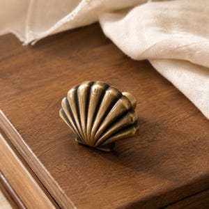 May include: A brass-toned metal cabinet knob shaped like a seashell with a fan-like design and a small letter M engraved on the top surface. The knob features a metallic finish with dark highlights in the grooves of the shell structure.