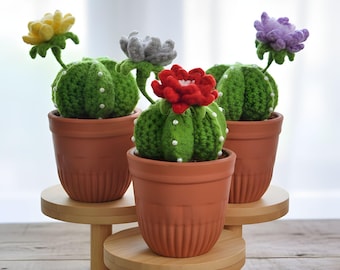 Flowering Cactus Crochet Pattern: Potted Succulent DIY (PDF Pattern)