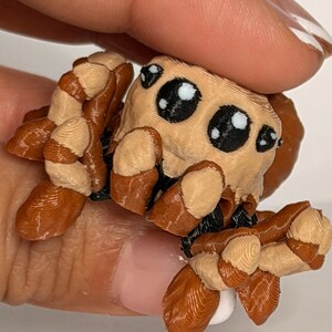 May include: A 3D-printed toy spider with a tan body, brown legs, and large, black eyes. The spider has a cartoonish design and is held between fingers. The legs have a striped pattern. The spider is a novelty item.