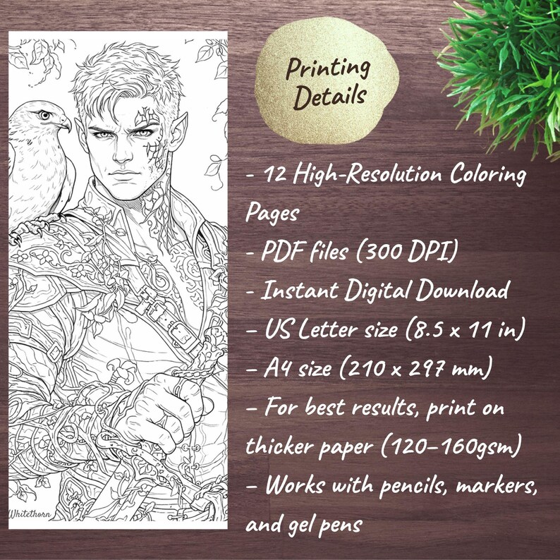 May include: Black and white line art of a fantasy character with a hawk on their shoulder. The image is a coloring page, with text indicating it is a digital download with US Letter and A4 size options. The text also mentions printing details.