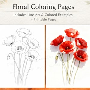 Puede incluir: Páginas para colorear florales con ejemplos de arte lineal y coloreados. La imagen muestra dos ilustraciones florales: un dibujo lineal en blanco y negro de amapolas y una pintura de acuarela de amapolas rojas. Incluye 4 páginas imprimibles.