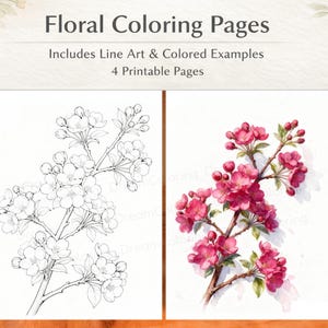 Może przedstawiać: Kolorowanki kwiatowe z grafiką liniową i kolorowymi przykładami. Obraz przedstawia dwie ilustracje kwiatowe: jedną w czarno-białej grafice liniowej, a drugą w akwareli z różowymi kwiatami. Tekst brzmi "4 strony do wydruku".