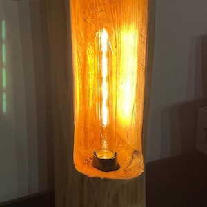Peut inclure: Lampe en bois rustique avec une lumière chaude et brillante. La lampe est faite à partir d'une section de tronc d'arbre, avec une cavité rectangulaire abritant une longue ampoule de style vintage. Le bois a un aspect naturel et texturé.