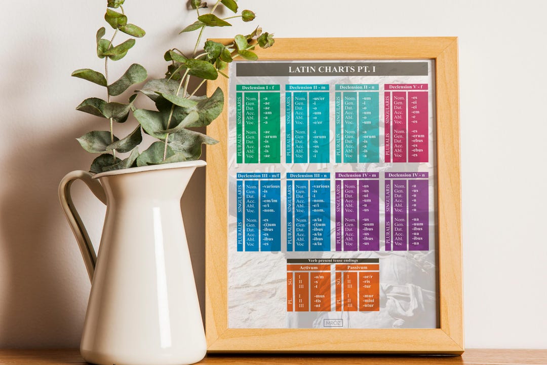 Color-coded Noun Endings Chart | Complete Grammar Reference - Etsy
