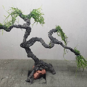 Aqua Bonsai Japanese Pine design