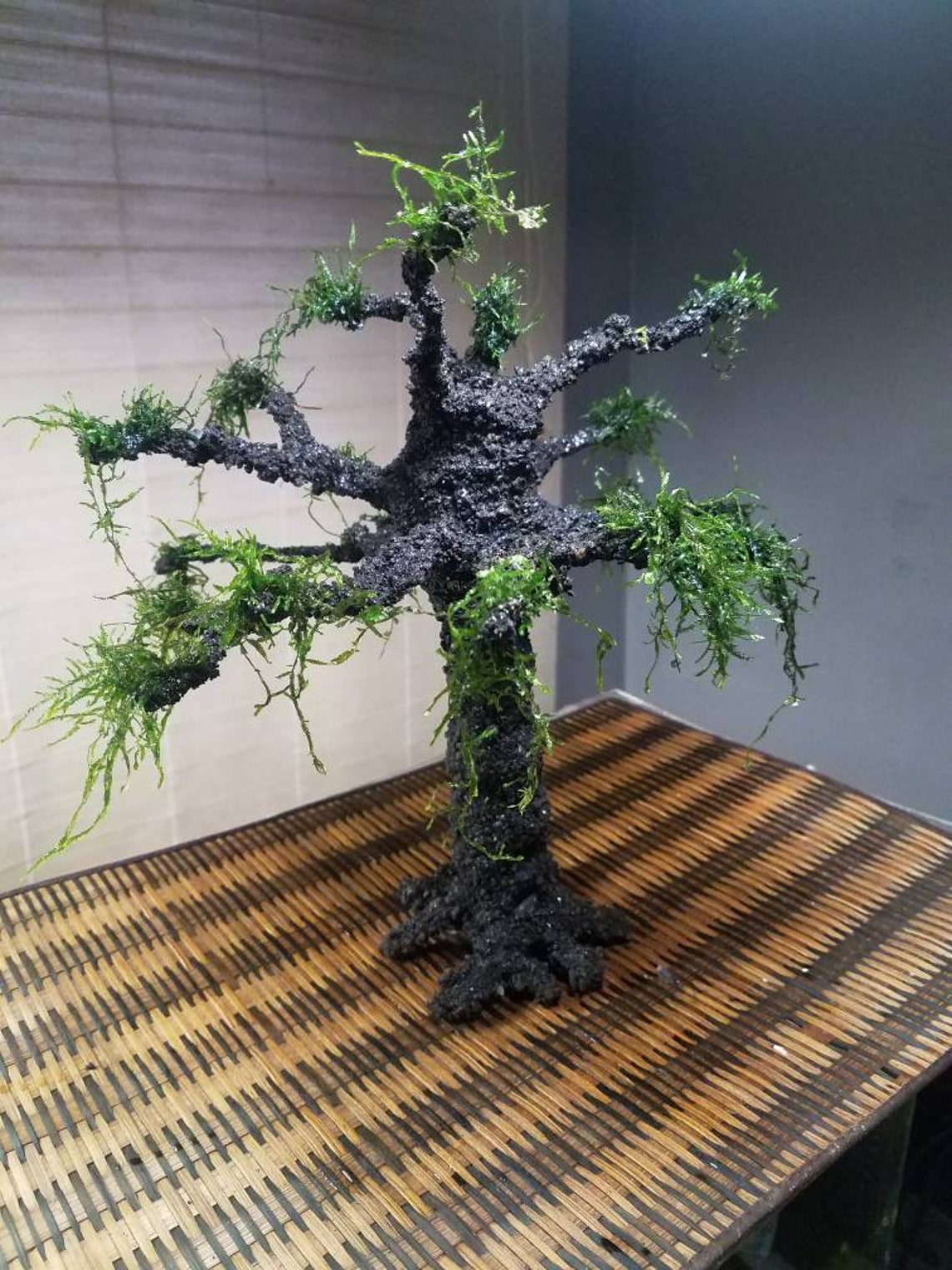 AQUA BONSAI PREMIUM Large Deciduous Style Aquatic Aqua Bonsai Etsy