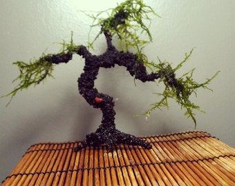 AQUA BONSAI Aquarium Tree for Planted Tank