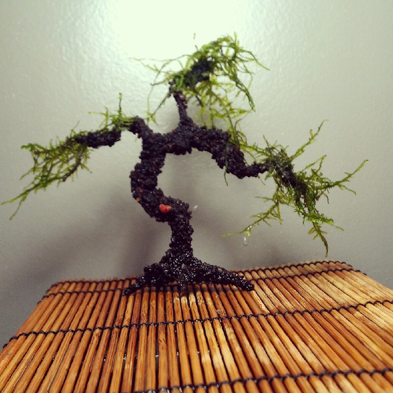 AQUA BONSAI Aquarium Tree for Planted Tank
