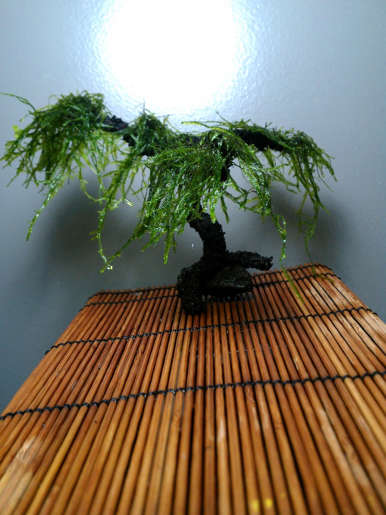 AQUA BONSAI Aquarium Living Ornament Aqua Bonsai Tree for Your Etsy