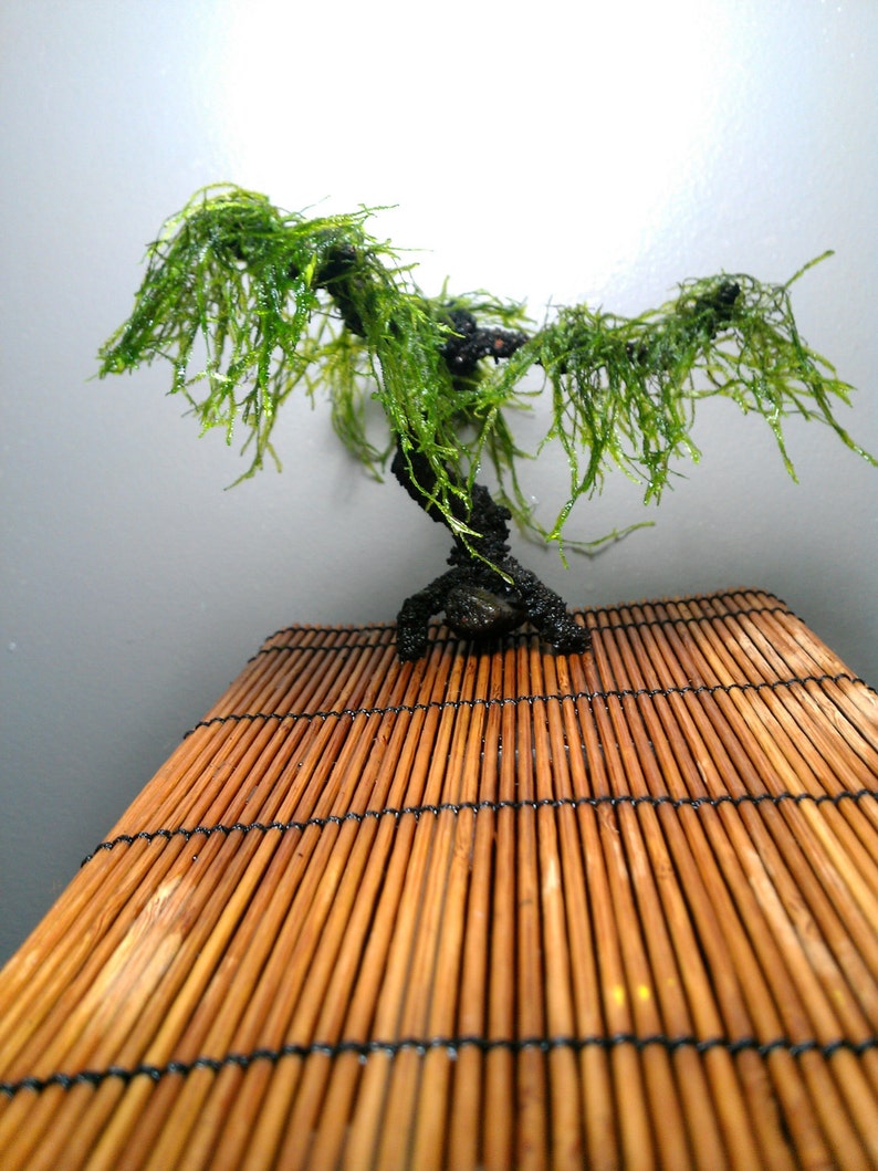 AQUA BONSAI Aquarium Living Ornament Aqua Bonsai Tree for Your Etsy