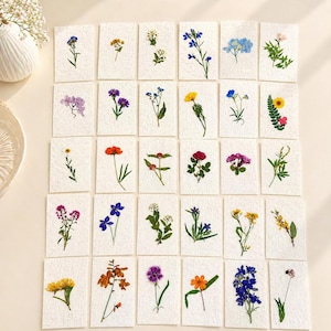 Puede incluir: Una colección de tarjetas de arte de flores prensadas, cada una con una disposición única de flores secas en varios colores. Las tarjetas están dispuestas sobre una superficie clara, mostrando la belleza natural y los delicados detalles de los diseños florales.
