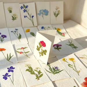 10 pcs Pressed Flower Greeting Cards: Botanical Pressed Floral Cards Bundle, Gift for Thanksgiving/Wedding/Anniversary, Handmade Floral Art