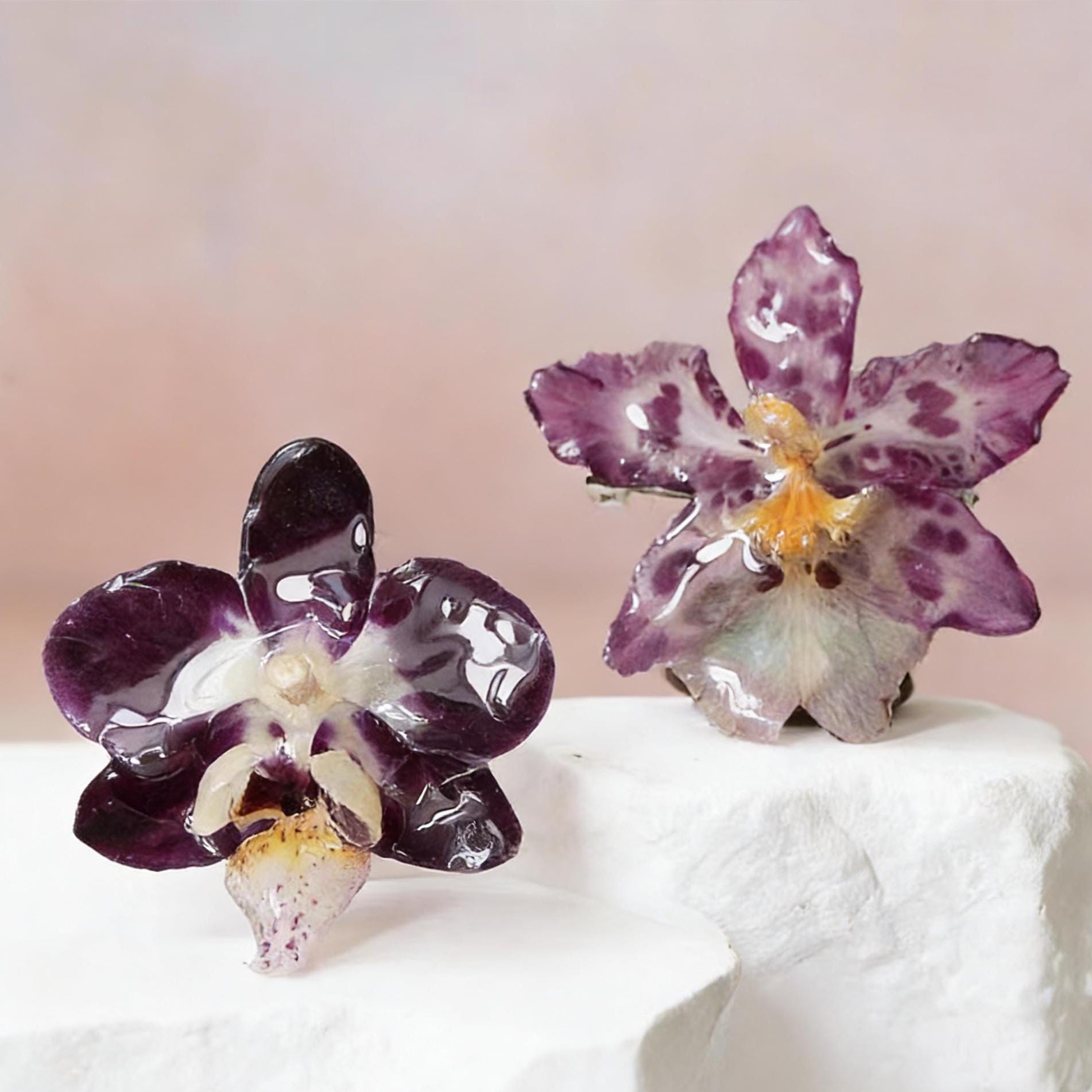 ブローチ ✩*॰本物のお花を✩*॰ ストーンつき 蘭の花のブローチ - Etsy 日本
