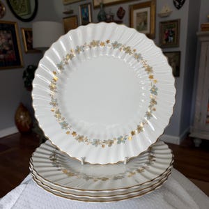 Può includere: Un set di tre barattoli in ceramica con coperchi. I barattoli sono bianchi con un motivo floreale blu. Il più grande misura 20 cm di altezza, il medio 15 cm e il più piccolo 10 cm.