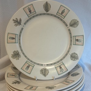 Set of 5 Pfaltzgraff Naturewood Dinner Plates: Sage Green Botanical Leaves, Stoneware (11") USA