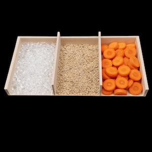 3-in-1 Insect Feeder | Roach & Cricket Food Water Dish for Reptile Breeders
