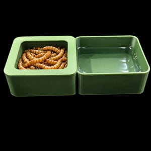 May include: Two-part green pet food and water dish. One square container is filled with brown mealworms, the other is empty and appears to hold water. The containers are on a black background.