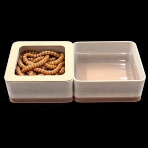 May include: Two-part pet food container. One side is filled with tan, worm-like treats. The other side is empty. The containers are square with a light wood-grain finish and a brown base, set against a black background.