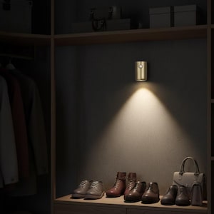 Pode incluir: Uma luminária de parede dourada ilumina uma prateleira em um armário. Abaixo, vários pares de sapatos e uma bolsa são dispostos na prateleira. O armário também contém roupas penduradas e prateleiras adicionais.