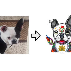 May include: A Boston Terrier dog with a black and white coat, depicted in a watercolor illustration. The dog has colorful wings, a heart on its forehead, and floral patterns. The image is a whimsical, artistic representation.