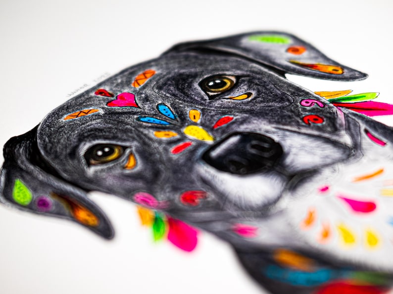 May include: Close-up of a dog's head, featuring a detailed pencil drawing with colorful accents. The dog's fur is primarily gray, adorned with vibrant floral and heart-shaped designs in shades of pink, yellow, blue, and orange. The dog's eyes are a warm brown.