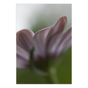 Tarjetas de felicitación con impresiones de arte abstracto, tarjetas con fotografías, obras de arte originales elegantes, fotos de flores y naturaleza del mes de nacimiento de abril, juego de papelería