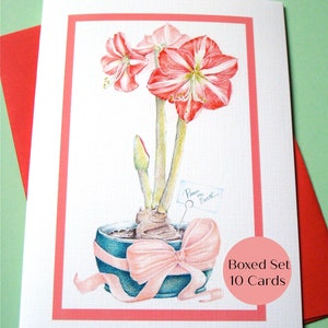 May include: A boxed set of 10 greeting cards featuring a watercolor illustration of a red and white amaryllis plant in a blue pot with a pink bow. The card reads "Peace on Earth".
